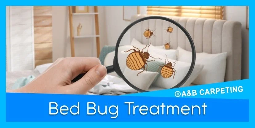 Professional Bed Bug Treatment